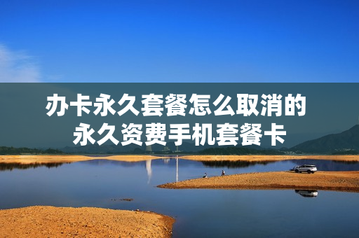 办卡永久套餐怎么取消的 永久资费手机套餐卡