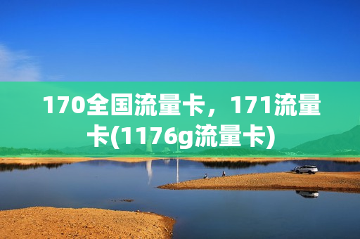 170全国流量卡，171流量卡(1176g流量卡)