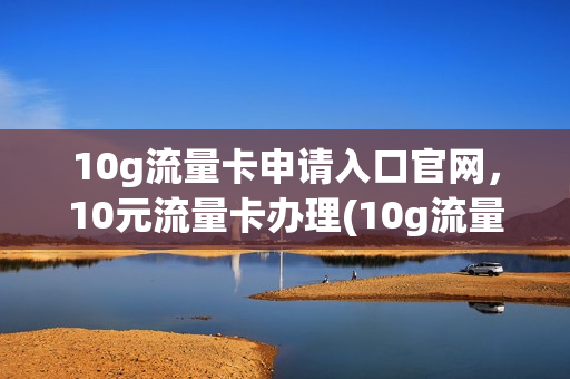 10g流量卡申请入口官网，10元流量卡办理(10g流量卡多少钱一张)