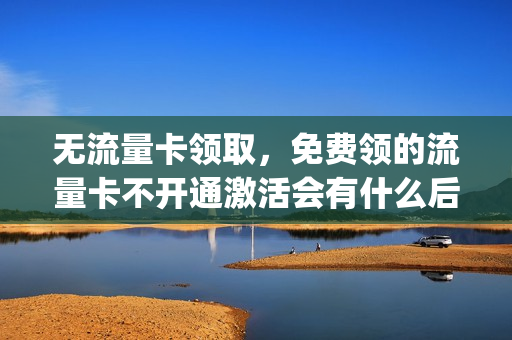 无流量卡领取，免费领的流量卡不开通激活会有什么后果(免激活流量卡购买)