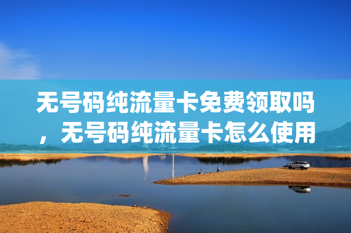 无号码纯流量卡免费领取吗，无号码纯流量卡怎么使用(无号码流量卡可靠吗)