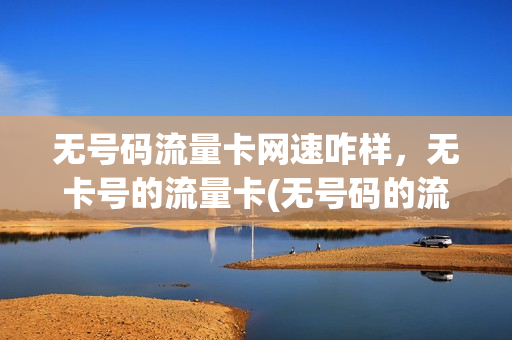 无号码流量卡网速咋样，无卡号的流量卡(无号码的流量卡哪里有卖)