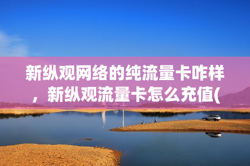 新纵观网络的纯流量卡咋样，新纵观流量卡怎么充值(新纵观网络流量卡是不是真的)