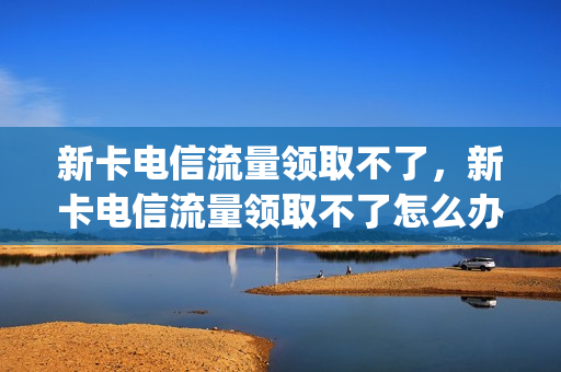 新卡电信流量领取不了，新卡电信流量领取不了怎么办(电信流量卡申请后几天送到)
