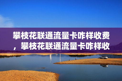 攀枝花联通流量卡咋样收费，攀枝花联通流量卡咋样收费的(攀枝花联通营业厅在哪个位置)
