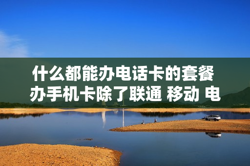 什么都能办电话卡的套餐 办手机卡除了联通 移动 电信 还有什么?