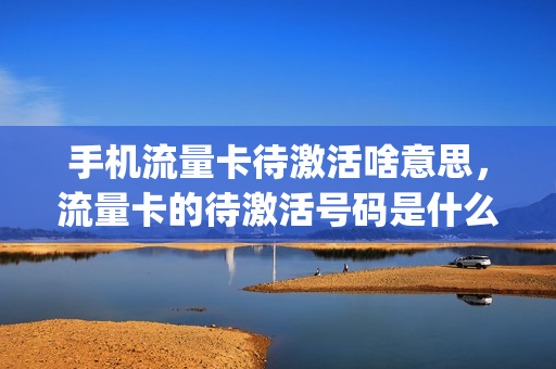 手机流量卡待激活啥意思，流量卡的待激活号码是什么(流量卡卡板状态待激活)