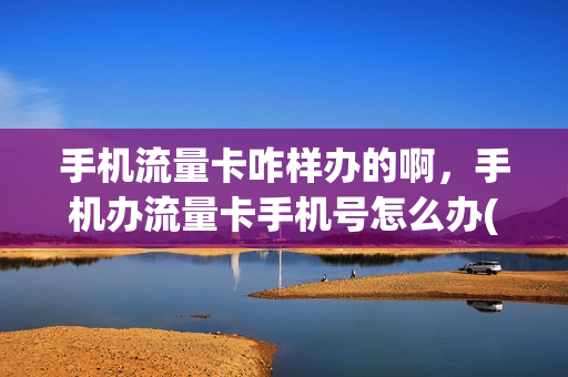 手机流量卡咋样办的啊，手机办流量卡手机号怎么办(办流量卡怎么办才实惠)