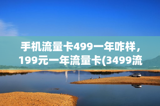 手机流量卡499一年咋样，199元一年流量卡(3499流量卡)