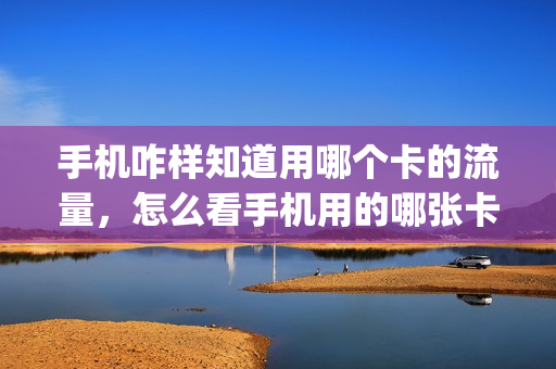 手机咋样知道用哪个卡的流量，怎么看手机用的哪张卡的流量(怎样看用的是哪张卡的流量)