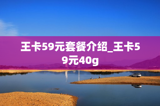 王卡59元套餐介绍_王卡59元40g