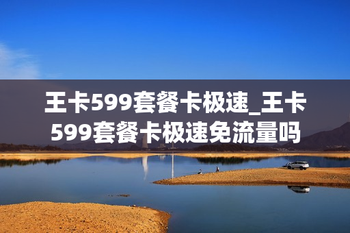 王卡599套餐卡极速_王卡599套餐卡极速免流量吗
