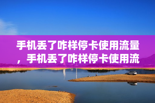 手机丢了咋样停卡使用流量，手机丢了咋样停卡使用流量卡(手机丢失怎么停用手机卡)