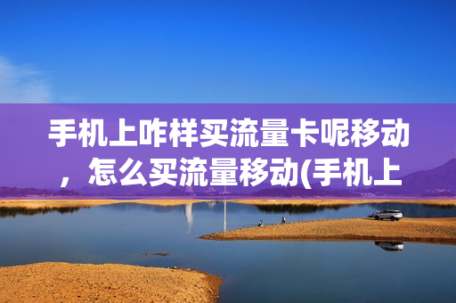 手机上咋样买流量卡呢移动，怎么买流量移动(手机上怎么买手机卡流量卡)
