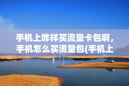 手机上咋样买流量卡包啊，手机怎么买流量包(手机上怎么购买流量卡)