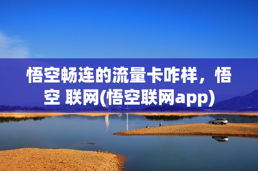 悟空畅连的流量卡咋样，悟空 联网(悟空联网app)