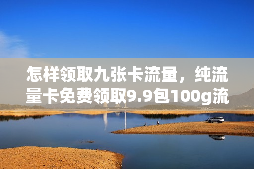 怎样领取九张卡流量，纯流量卡免费领取9.9包100g流量申请(9999g流量卡免费领取)