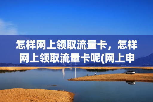 怎样网上领取流量卡，怎样网上领取流量卡呢(网上申请流量卡怎么去申请)