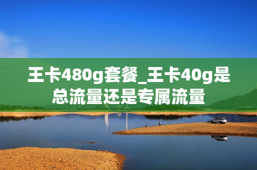 王卡480g套餐_王卡40g是总流量还是专属流量