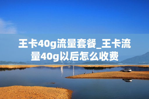 王卡40g流量套餐_王卡流量40g以后怎么收费