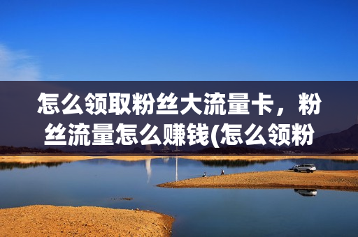 怎么领取粉丝大流量卡，粉丝流量怎么赚钱(怎么领粉丝号)