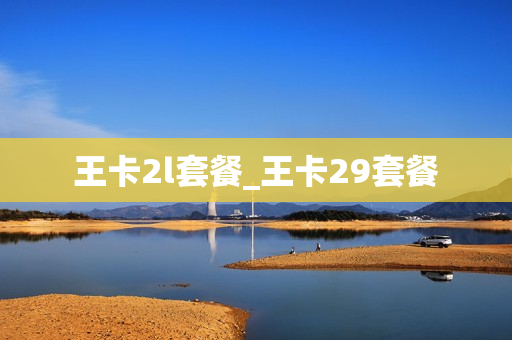 王卡2l套餐_王卡29套餐
