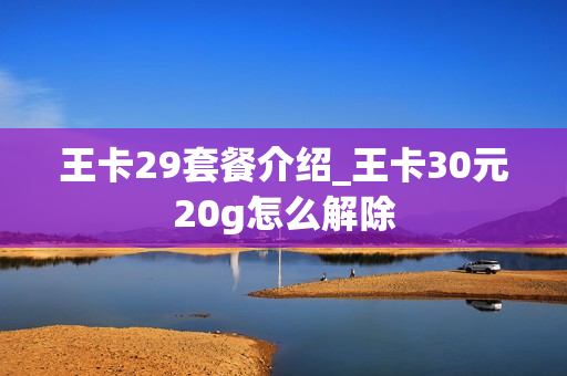 王卡29套餐介绍_王卡30元20g怎么解除