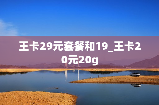 王卡29元套餐和19_王卡20元20g