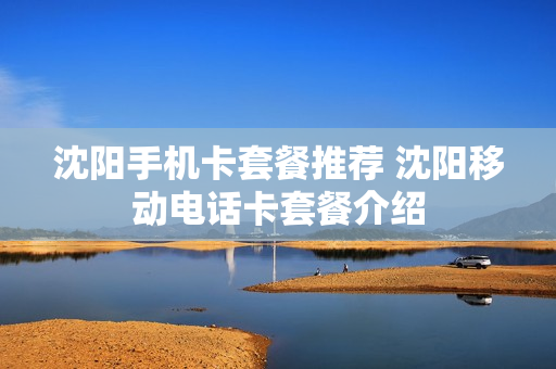 沈阳手机卡套餐推荐 沈阳移动电话卡套餐介绍
