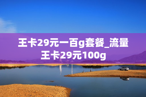 王卡29元一百g套餐_流量王卡29元100g