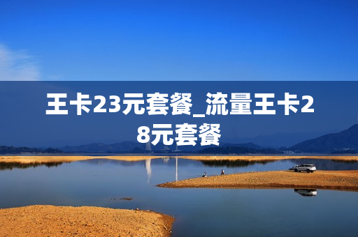 王卡23元套餐_流量王卡28元套餐