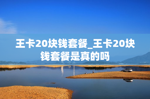 王卡20块钱套餐_王卡20块钱套餐是真的吗