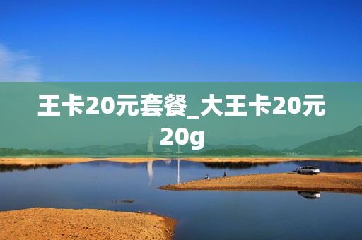 王卡20元套餐_大王卡20元20g