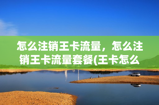 怎么注销王卡流量，怎么注销王卡流量套餐(王卡怎么注消)
