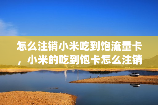 怎么注销小米吃到饱流量卡，小米的吃到饱卡怎么注销(小米吃到饱卡怎么注销掉)