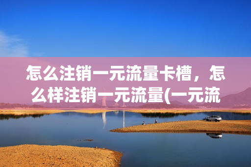 怎么注销一元流量卡槽，怎么样注销一元流量(一元流量怎么注销实名认证)