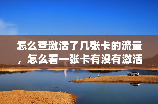 怎么查激活了几张卡的流量，怎么看一张卡有没有激活(怎么查看用的卡1还是卡2的流量)