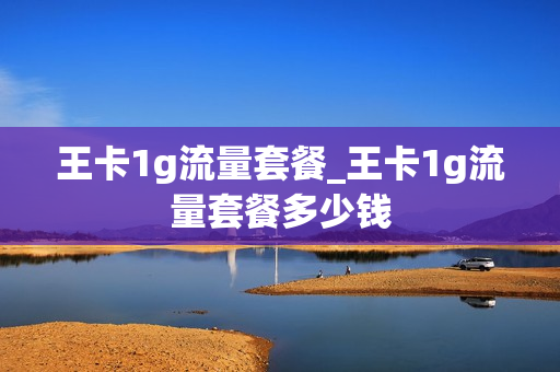 王卡1g流量套餐_王卡1g流量套餐多少钱