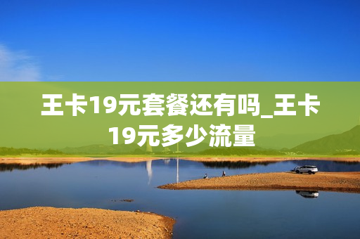 王卡19元套餐还有吗_王卡19元多少流量