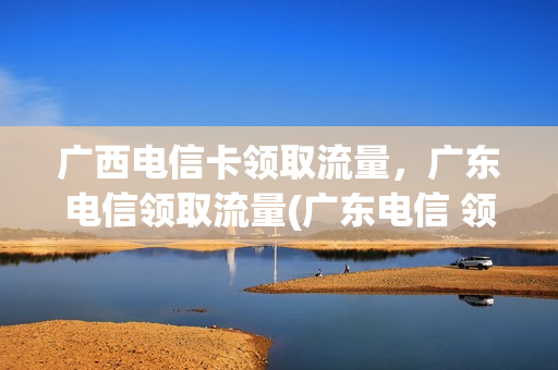 广西电信卡领取流量，广东电信领取流量(广东电信 领流量)