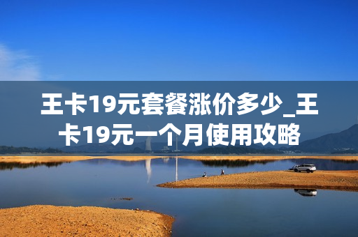 王卡19元套餐涨价多少_王卡19元一个月使用攻略
