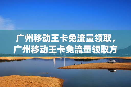 广州移动王卡免流量领取，广州移动王卡免流量领取方法(广东24元移动王卡指定流量使用)