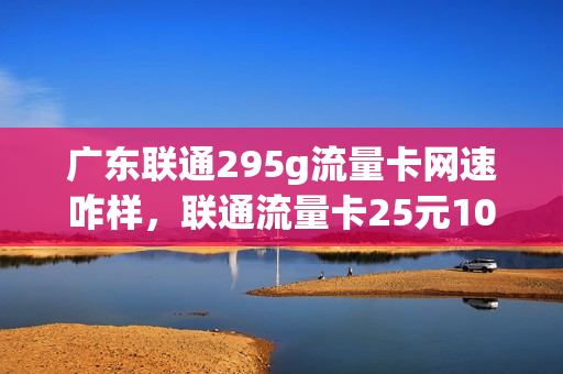 广东联通295g流量卡网速咋样，联通流量卡25元100g怎么样(联通29.9200g流量卡)