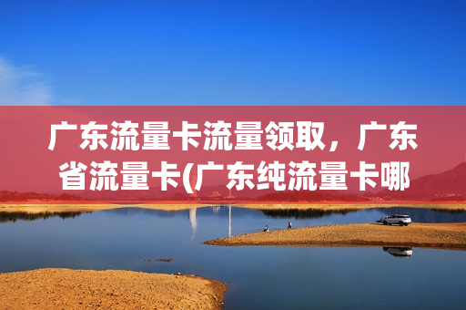 广东流量卡流量领取，广东省流量卡(广东纯流量卡哪家划算)