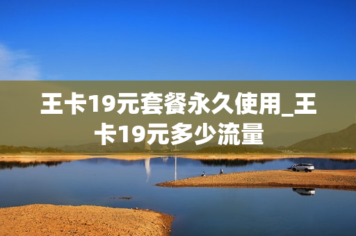 王卡19元套餐永久使用_王卡19元多少流量