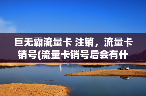 巨无霸流量卡 注销，流量卡销号(流量卡销号后会有什么影响)