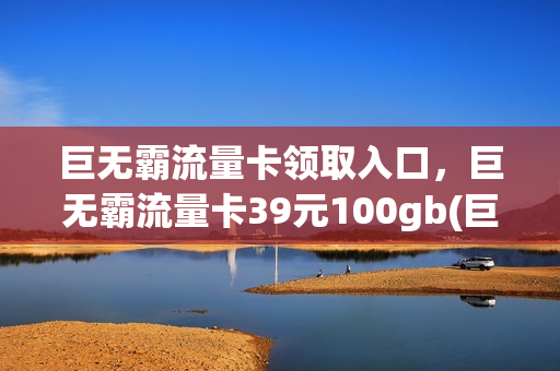 巨无霸流量卡领取入口，巨无霸流量卡39元100gb(巨无霸流量王58元)