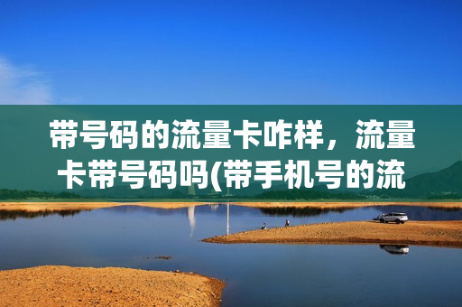 带号码的流量卡咋样，流量卡带号码吗(带手机号的流量卡)