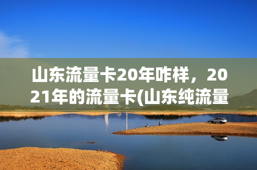山东流量卡20年咋样，2021年的流量卡(山东纯流量卡)