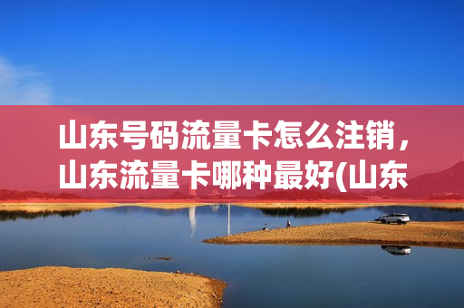 山东号码流量卡怎么注销，山东流量卡哪种最好(山东流量卡网络技术有限公司)